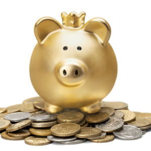 save and earn gold pig with a crown and coins